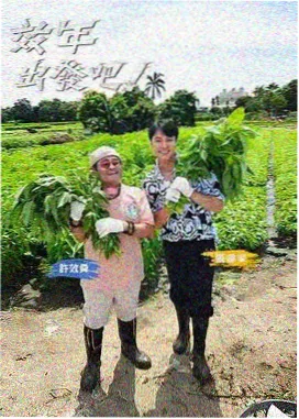 橘子影院 综艺 极限挑战